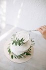 Жінка прикрашає дворівневий весільний торт з оливковими гілками — стокове фото