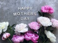 Peônias em um fundo cinza em torno da palavra Feliz Dia das Mães — Fotografia de Stock