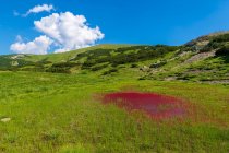 Rotalgenteich in den Dinarischen Alpen, Bosnien und Herzegowina — Stockfoto