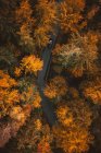 Vista aérea del automóvil conduciendo a través de un bosque otoñal, Salzburgo, Austria - foto de stock
