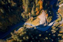 Повітряний вид автомобіля, що їде осіннім лісом (Зальцбург, Австрія). — стокове фото