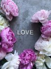 Peonies on a grey background around the word Love — Stock Photo