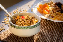 Гречана гранола і тарілка з насінням соняшнику, кашею, бразильськими горіхами, мигдалем, абрикосами та родзинками — стокове фото