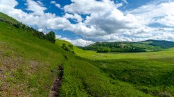 Ländliche Landschaft am Rob Roy Way, Schottland, Vereinigtes Königreich — Stockfoto