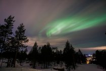 Langzeitbelichtungsaufnahme von Nordlichtern über winterlicher Waldlandschaft, Lappland, Finnland — Stockfoto