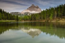 Reflexión de Tre Cime di Lavaredo en Lac d 'Antorno, Belluno, Veneto, Italia - foto de stock