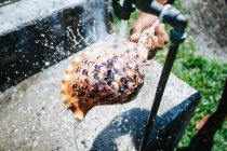 Man rinsing a seashell under an outdoor tap, Seychelles — Stock Photo