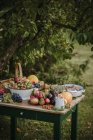 Tavolo da giardino con frutta fresca, verdura e noci — Foto stock