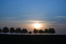 Fila de árboles en el paisaje rural al atardecer, Deux-Sevres, Nouvelle Aquitania, Francia - foto de stock