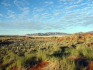 Красивый пустынный пейзаж, Намибия — стоковое фото