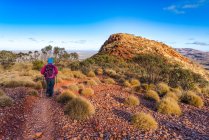 Woman Hiking on Mt Sonder track, Parque Nacional West MacDonnell, Territorio del Norte, Australia - foto de stock