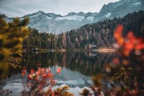 Cabana na floresta por Reedsee nos Alpes Austríacos, Bad Gastein, Salzburgo, Áustria — Fotografia de Stock