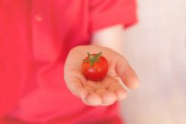 Boy holding a tomato — Stock Photo