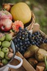 Jaula sobre una mesa llena de uvas y otros productos de otoño - foto de stock