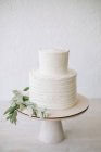 Simple pastel de boda de dos niveles con glaseado y decoración de rama de olivo - foto de stock