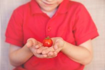 Хлопчик тримає помідор — стокове фото