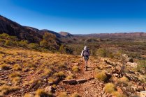Wanderin auf dem Larapinta Trail, West MacDonnell National Park, Northern Territory, Australien — Stockfoto