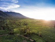 Горный пейзаж, Богор, Ява, Индонезия — стоковое фото