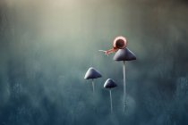 Snail on a mushroom in the forest, Indonesia — Stock Photo