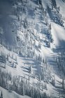 Снег покрыл ландшафт в Kootenays около Касло, Британская Колумбия, Канада — стоковое фото