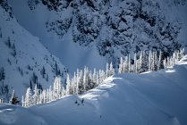 Снег покрыл ландшафт в Kootenays около Касло, Британская Колумбия, Канада — стоковое фото