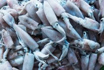 Primer plano de los calamares en un mercado de pescado, Vietnam - foto de stock