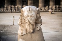 Roi Ramsès II tête, Temple Karnak, Karnak, Louxor, Egypte — Photo de stock