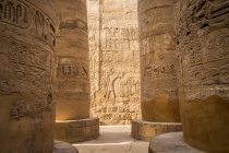 Primer plano de tallas de pared, Gran Salón Hipóstilo, Templo de Karnak, Karnak, Luxor, Egipto - foto de stock