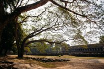 Руины, Ангкор-Ват, Рим-Рип, Камбодия — стоковое фото
