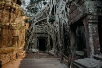 Ruinas del templo, Angkor Wat, Siem Reap, Camboya - foto de stock