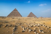Комплекс пірамід Гізи поблизу Каїра (Єгипет). — стокове фото