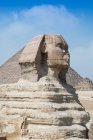 Вигляд великого сфінкса (Гіза) поблизу Каїра (Єгипет). — стокове фото