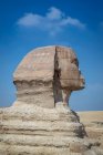 Крупный план великого Сфинкса, Гиза близ Каира, Египет — стоковое фото