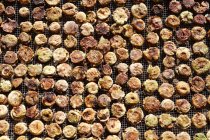 Fresh figs drying in the sun, Spain — Stock Photo