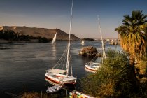 Barche turistiche e Felucche, Isola Elefantina, Assuan, Egitto — Foto stock