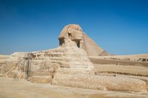 La grande Sfinge e piramide, Giza vicino al Cairo, Egitto — Foto stock