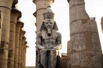 Statue de Ramsès II, Temple de Louxor, Louxor, Égypte — Photo de stock