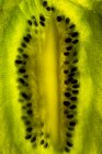 Close-up of a kiwi fruit — Stock Photo