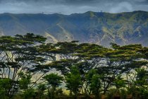 Montagna tropicale e paesaggio forestale, Indonesia — Foto stock