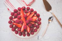 Vue aérienne d'un gâteau à la crème framboise et fraise — Photo de stock