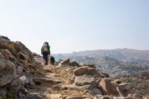 Wanderer und sein Hund gehen einen Bergweg hinauf, Vereinigte Staaten — Stockfoto
