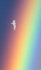 Taube fliegt an einem Regenbogen vorbei und trägt einen Olivenzweig im Mund, Vereinigte Staaten — Stockfoto