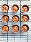 Salted muffins with poppy seeds on baking rack,  close view — Stock Photo