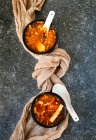 Дві миски гарячого і кислого супу — стокове фото
