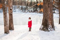 Chica de pie frente a un lago congelado en invierno, Estados Unidos - foto de stock