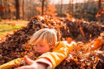 Мальчик, играющий в кучу осенних листьев, США — стоковое фото
