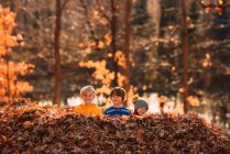 Três crianças brincando em uma pilha de folhas, Estados Unidos — Fotografia de Stock