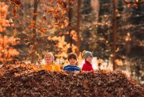Троє дітей бавляться у купі листя (США). — стокове фото