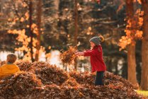 Menino e menina brincando em uma pilha de folhas, Estados Unidos — Fotografia de Stock