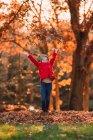 Chica lanzando hojas de otoño en el aire, Estados Unidos - foto de stock